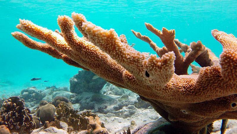 Апартаменты Woodz Bonaire Кралендейк Экстерьер фото